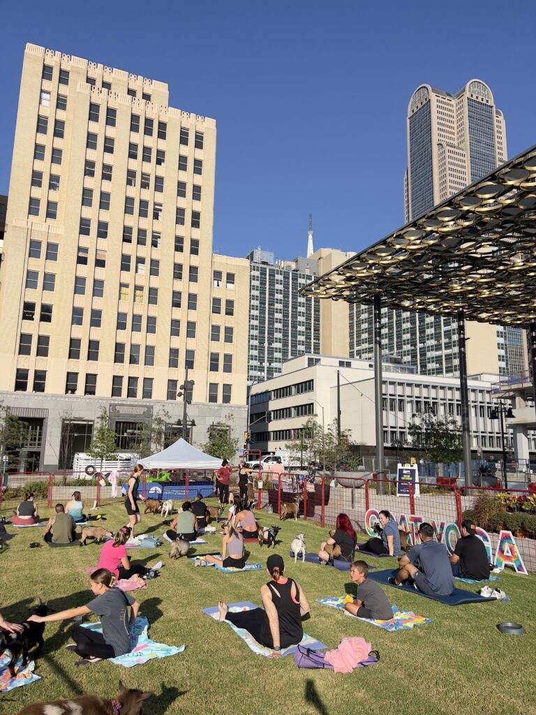 Kickstart your morning with a unique and rejuvenating experience of Goat Yoga for a Day of Wellness.