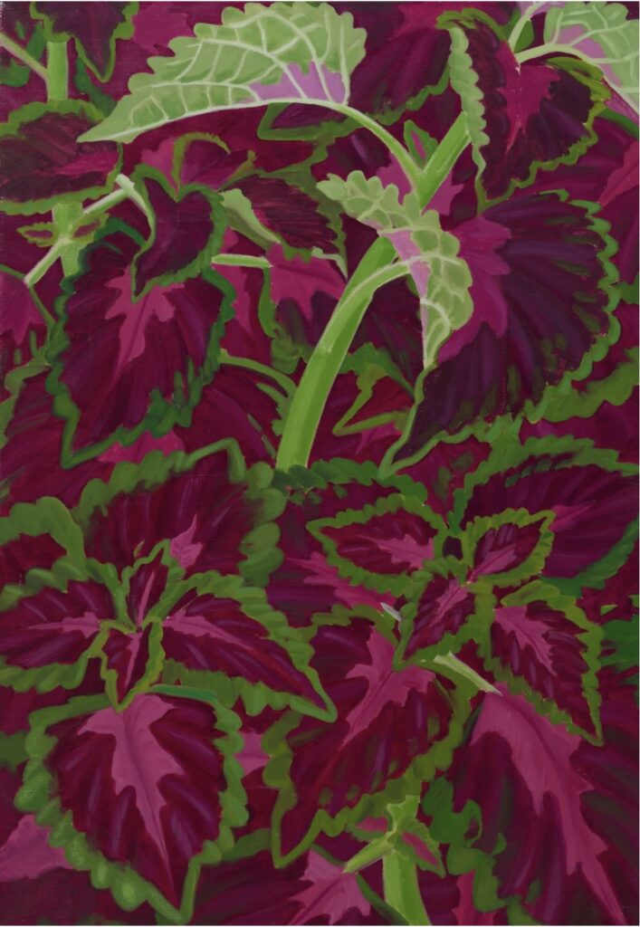 Janet Alling's oil painting "Red Coleus Field II,"  1974. (Courtesy Seven Sisters Gallery, Houston)
