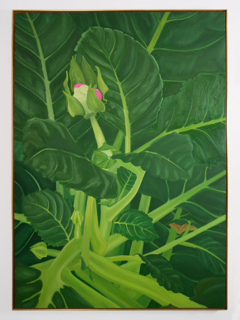 Janet Alling's oil painting "Giant Gloxinia I," 1972. (Courtesy Seven Sisters Gallery, Houston)