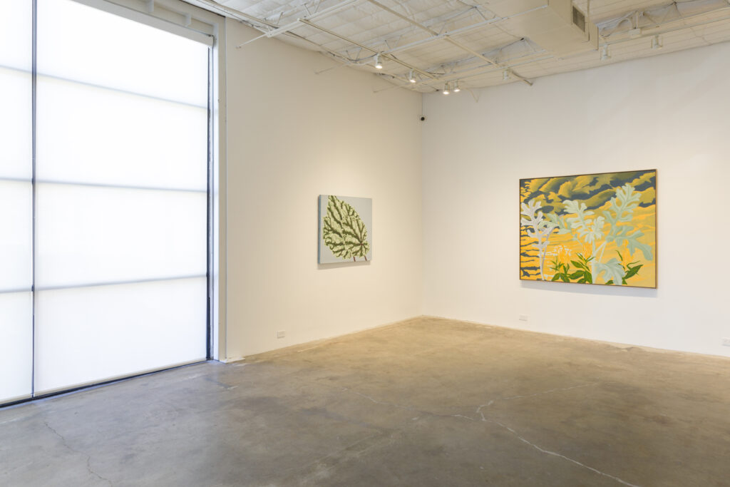 An installation view of the "Janet Alling: Plant Life" exhibition at Seven Sisters  Gallery. (Photo by Caroline Philippone, Courtesy Seven Sisters Gallery, Houston)