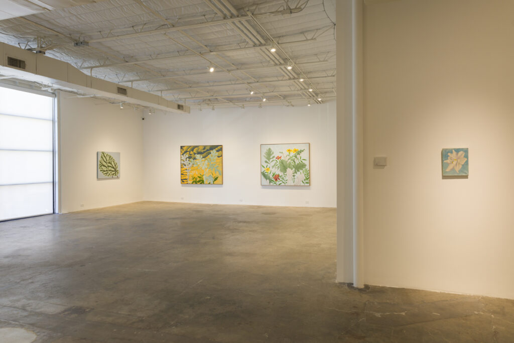 An installation view of the "Janet Alling: Plant Life" exhibit at Seven Sisters  Gallery. (Photo by Caroline Philippone, Courtesy Seven Sisters Gallery, Houston)