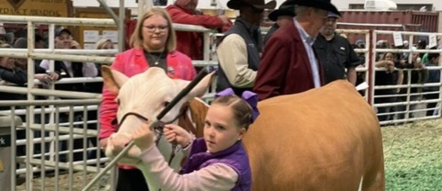 A youngster with her charge at the 2023 Junior Market Steer Auction at RodeoHouston