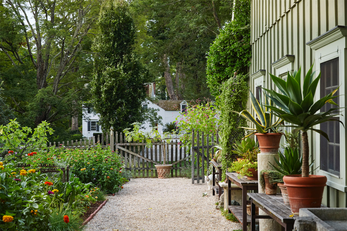 Bunny Williams' vegetable garden.