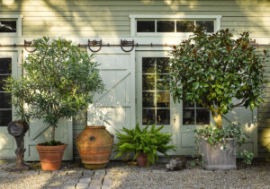 Garden containers at Bunny Williams’ Connecticut home. (Photo by Annie Schlechter)