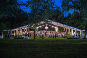 Bayou Bend Garden Party; Photo by Wilson Parish (2)