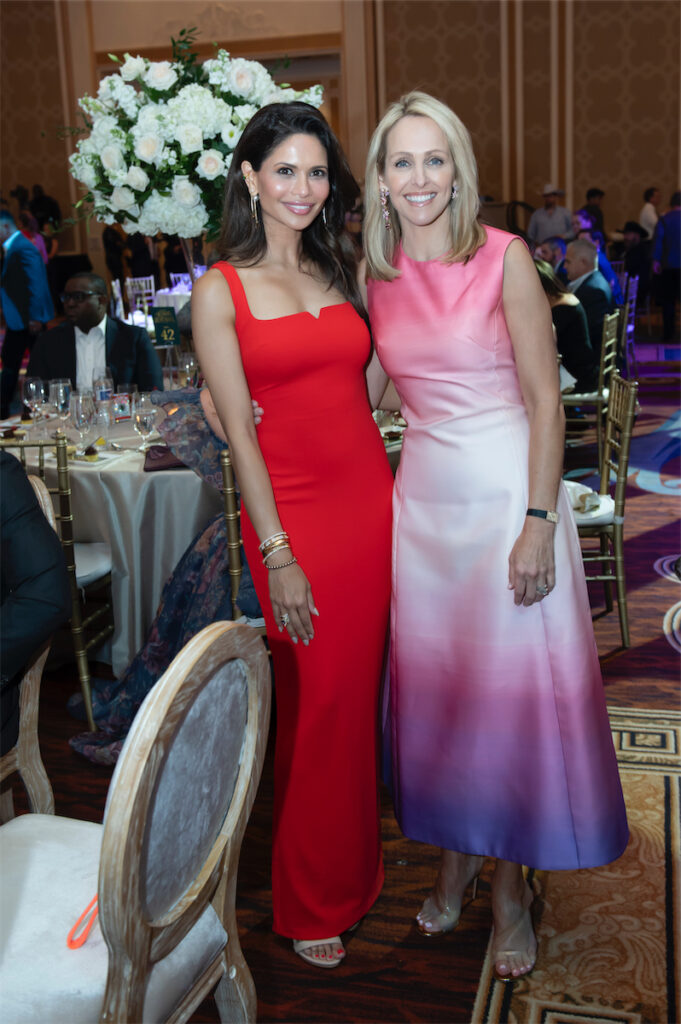 Bina Palnitkar, Meredith Land at CAMH 75th Gala (Photo by Emily Jaschke)