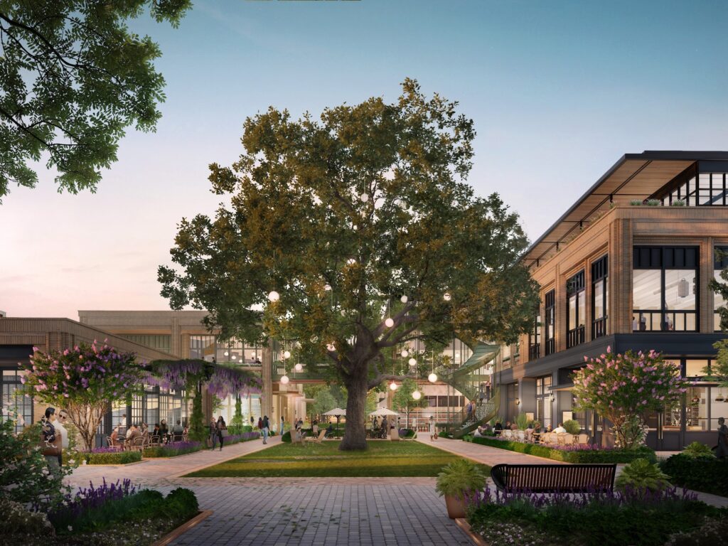The central lawn at the new mixed-use development dubbed The RO will be a green gathering space with a towering heritage oak. (Courtesy Michael Hsu Office of Architecture)