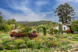 San Ysidro Ranch Rose Wedding Garden