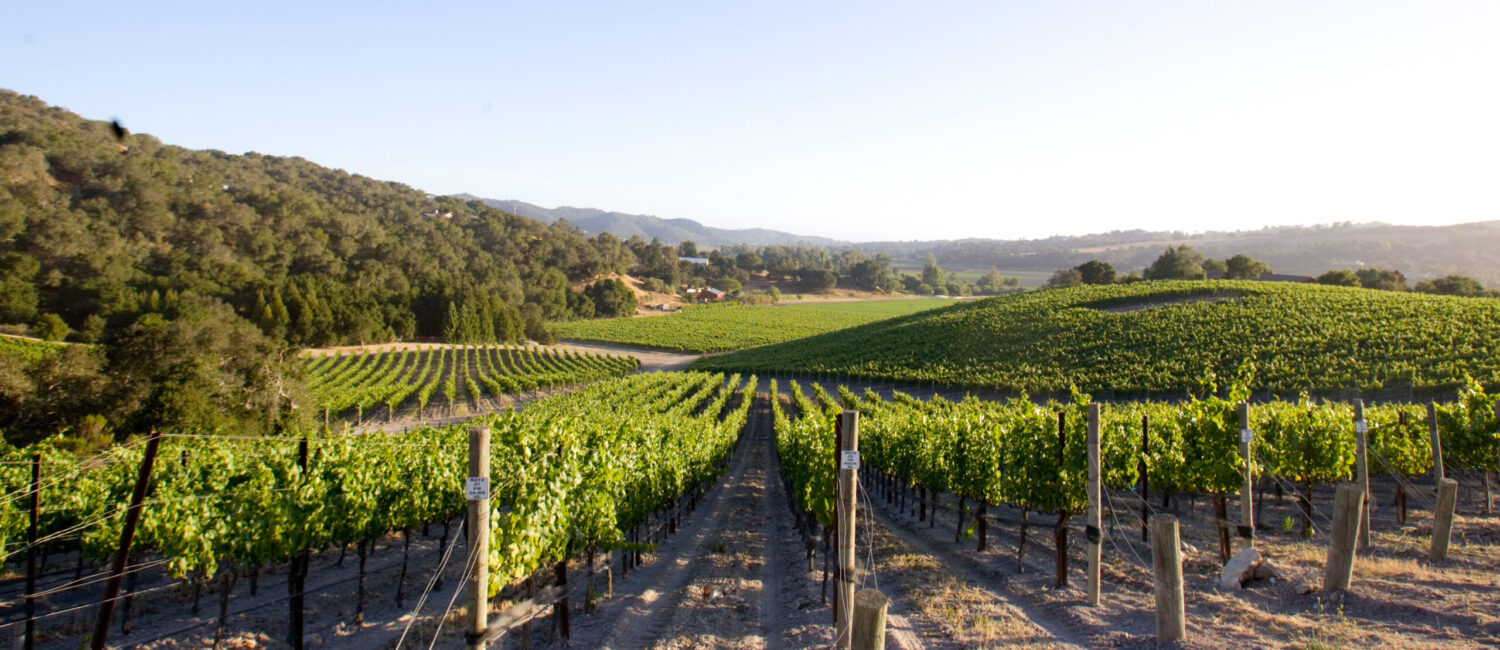 Talley Vineyards is a slice of wine paradise.
