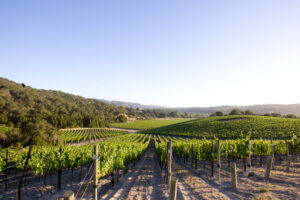 Talley Vineyards is a slice of wine paradise.