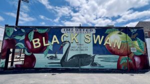 Black Swan Saloon