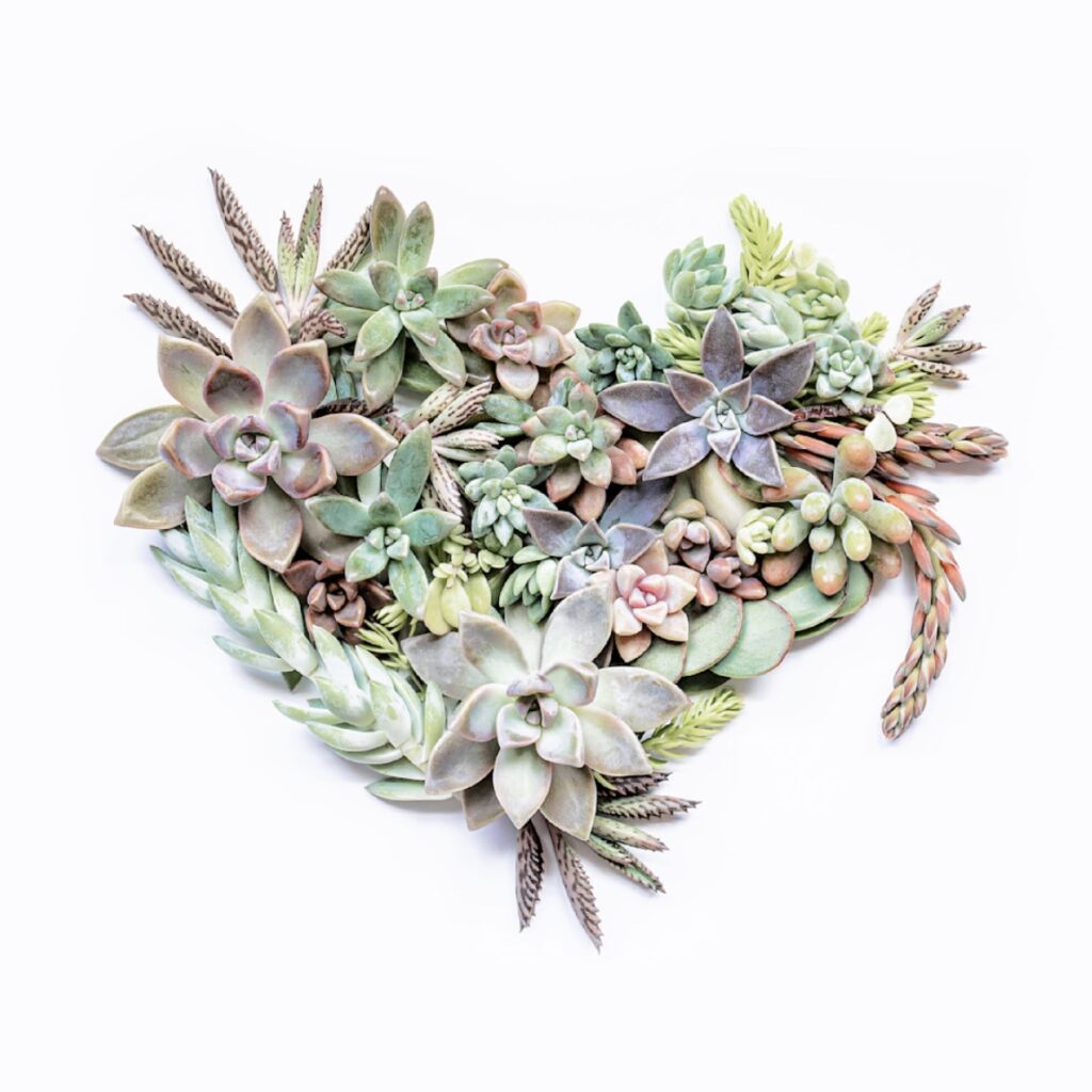"Life would SUCC without. you" will be hidden in The Woodlands for the Ardest Scavenger Hun. This piece is 20" x 20" and printed on metal. (Courtesy of Patti Gary)