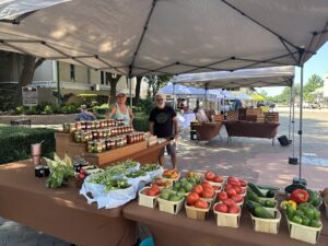 Produce and homemade jellies, jams and other products are available weekly at the Conroe Farmers Market. (Photo by Farralyn Withrow)