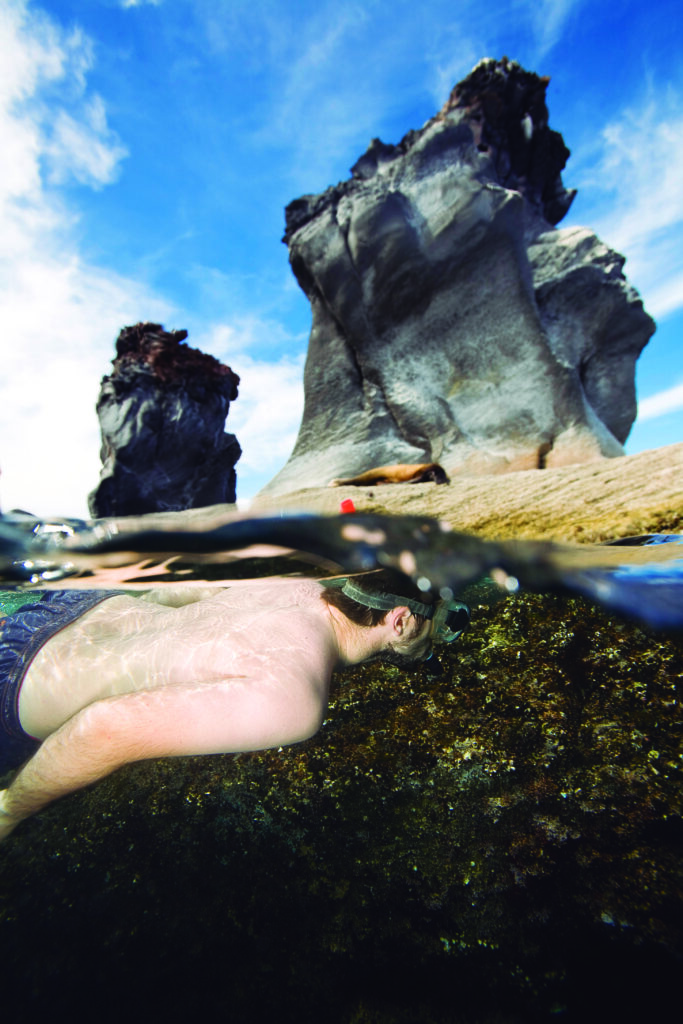 Snorkeling through the coves of Loreto is one way to experience the magic of marine life.