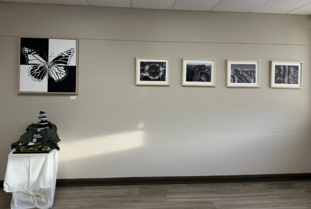 Laura Bennett's "Metamorphosis" painting contrasts J.P. Zenturo's photography of Houston's highways. (Photo by Derik J. Mercado)