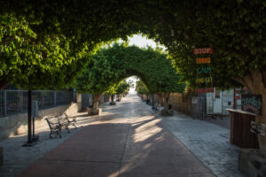 Loreto Plaza
