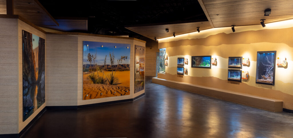 Wind your way through this new air-conditioned, educational exhibit at the back of Texas Wild! at the Fort Worth Zoo.