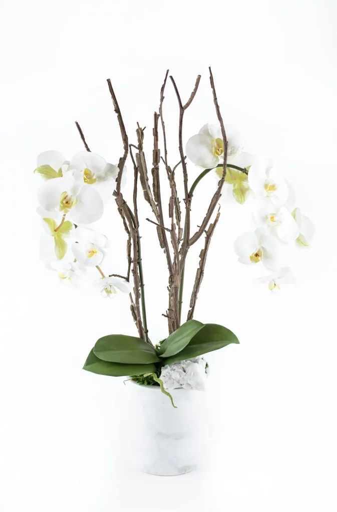  (Photo by Victoria Sapstein)