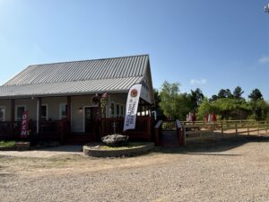Excalibur Magnolia (Photo by Laura Landsbaum)