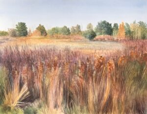 Ken Mazzu’s “In The Brush, Anahuac”