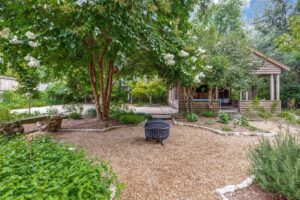 dallas oak cliff real estate Jim Martinez landscape 26 (Photo by Micalizzi Real Estate)