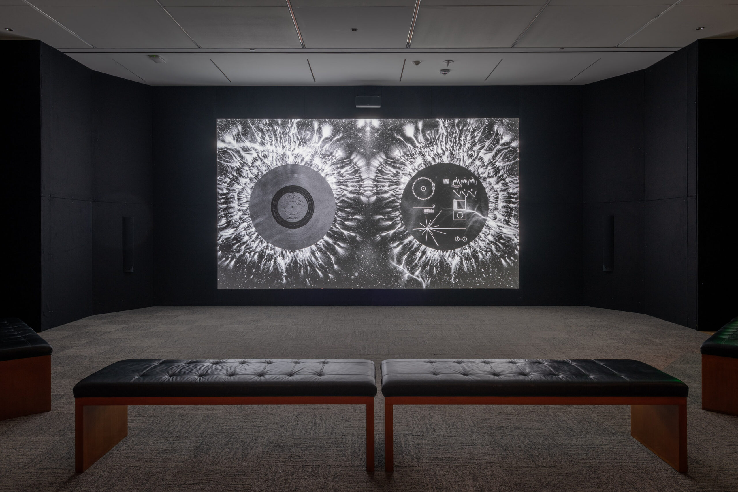 Dario Robleto's film <em>Ancient Beacons Long for Notice</em> (2023–2024) explores the history of the Golden Record, on display at the Amon Carter Museum of American Art. (Photo courtesy of Dario Robleto)