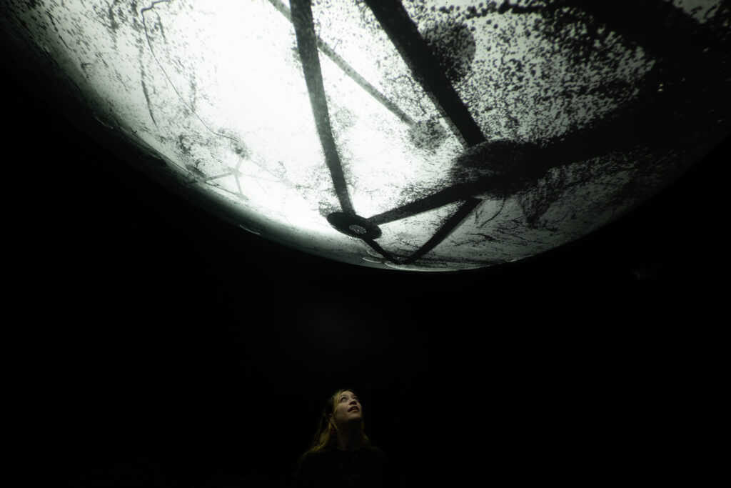 Artechouse Houston's "Eternal Life" (Photo courtesy Artechouse) 