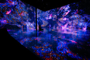 ARTECHOUSE HOUSTON _ Time and Space 15