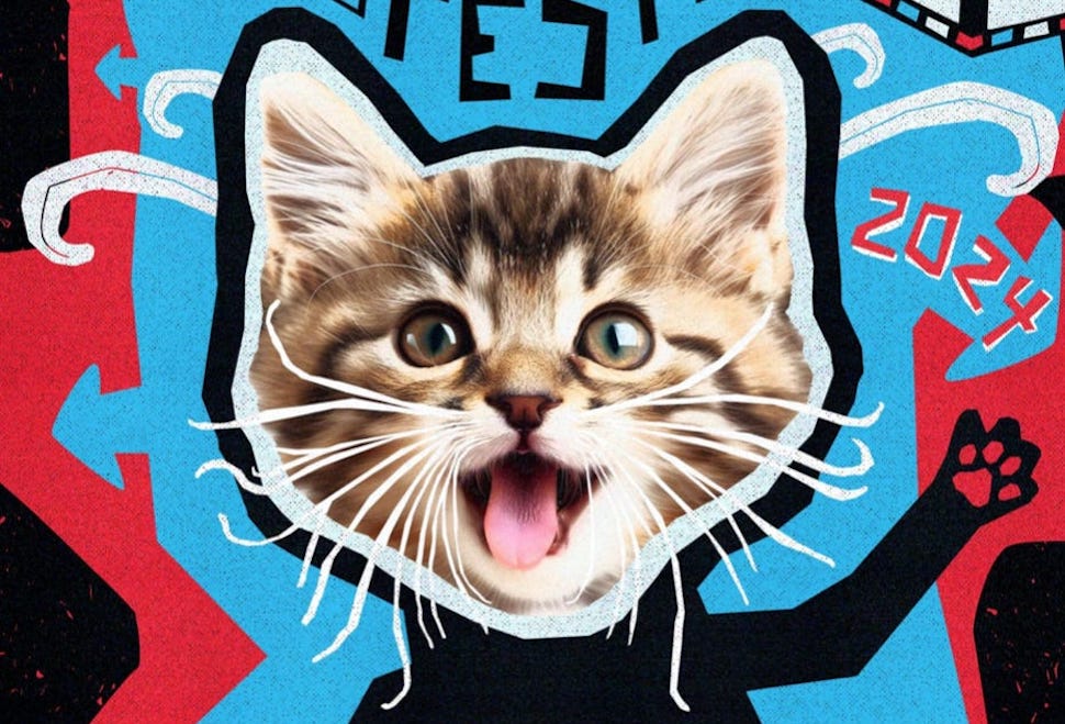 CatVideoFest 2024