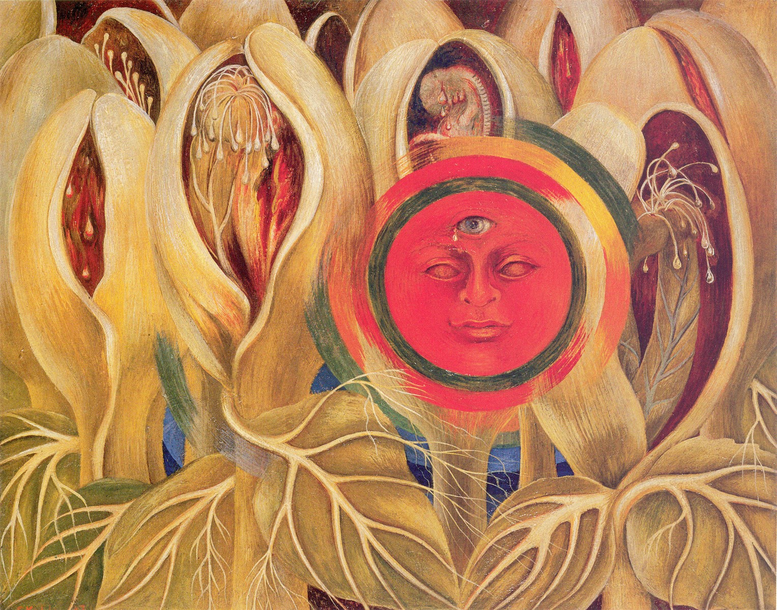 Dallas Museum of Art DMA Exhibit – Sun and Life, 1947. Frida Kahlo