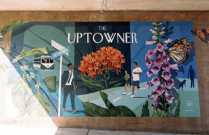 Uptown Dallas Inc (Photo by Meda Abigail Photography)