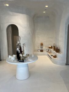 Wyld Blue Dallas Swimwear Store – plaster and purses