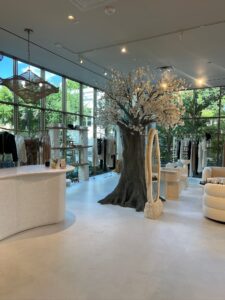 Wyld Blue Dallas Swimwear Store – tree in shop