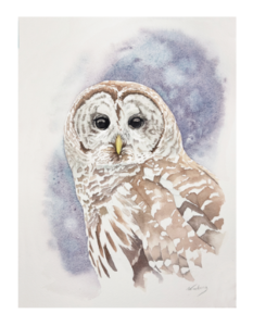 This watercolor work by Allan Ginsburg will be raffled by Ardest Gallery to raise funds for the Friends of Texas Wildlife. (Courtesy Ardest Gallery)