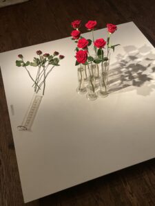 Akim MONET_Joseph BEUYS_Tamper Evident