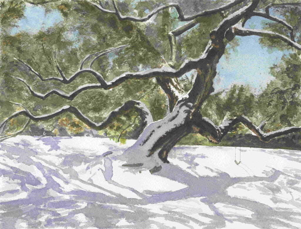 A birch tree in snow, winner of the Houston Watercolor Society.