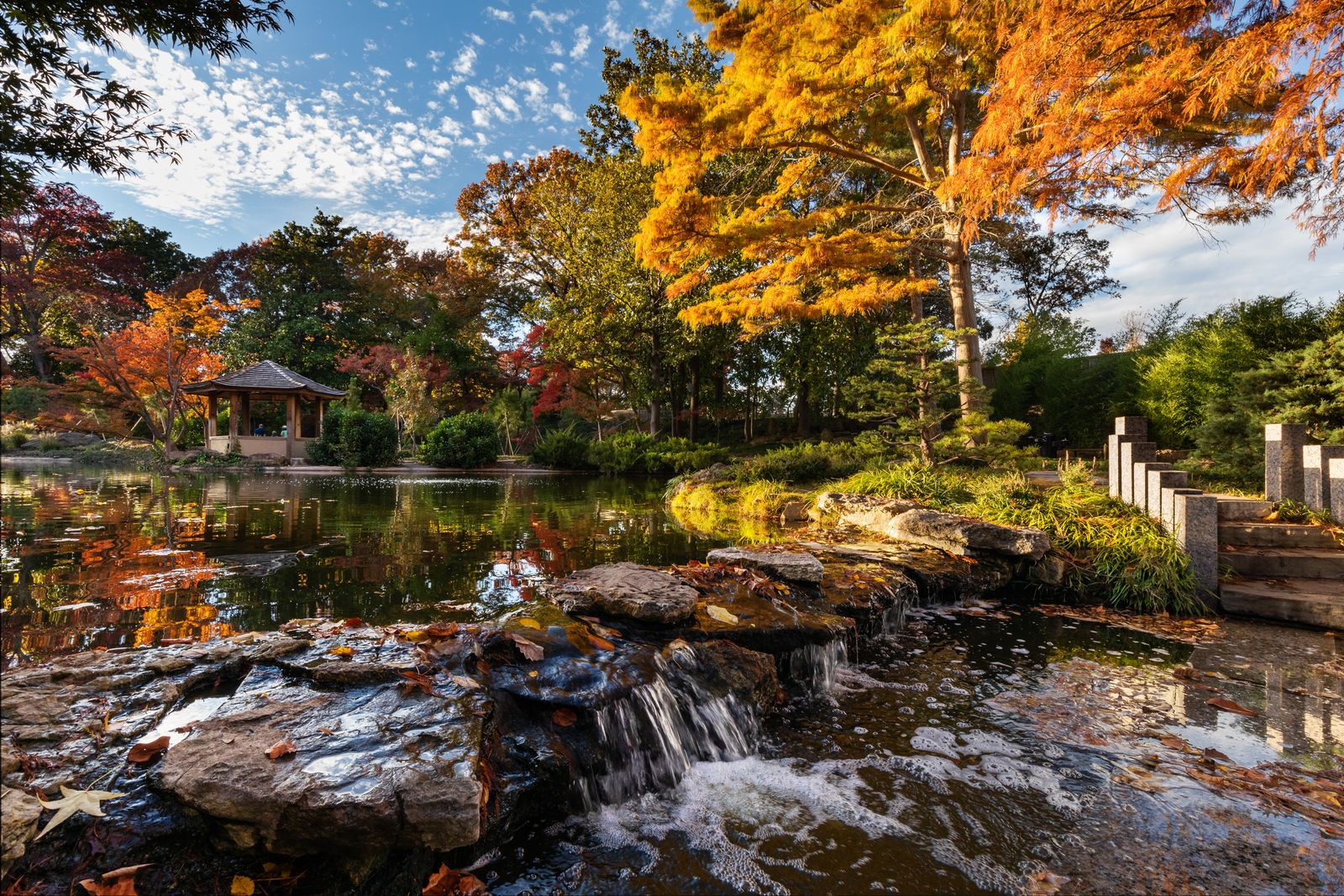 Japanese Gardens