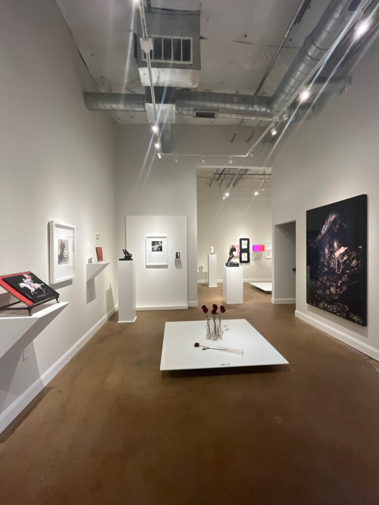 Installation view of "Objects of Desire" at Akim Monet Fine Arts in Dallas Design District.