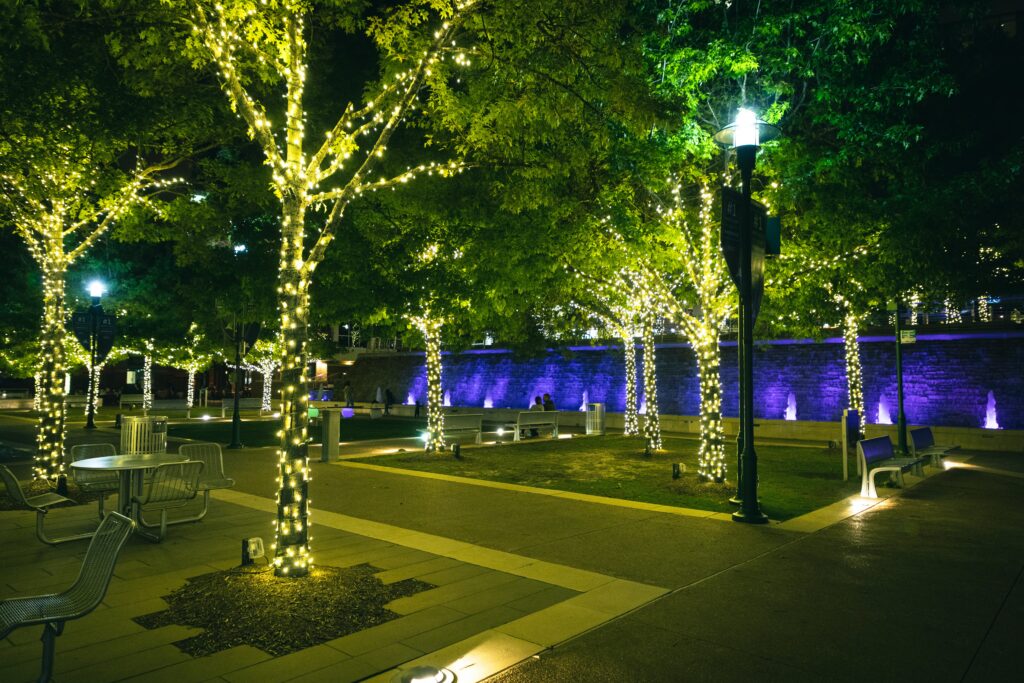 Twinkling lights will guide the way this year on Waterway Square. (Photo courtesy Austin Hervias)