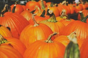 hide-obara-Bg2MAWL2yGQ-unsplash