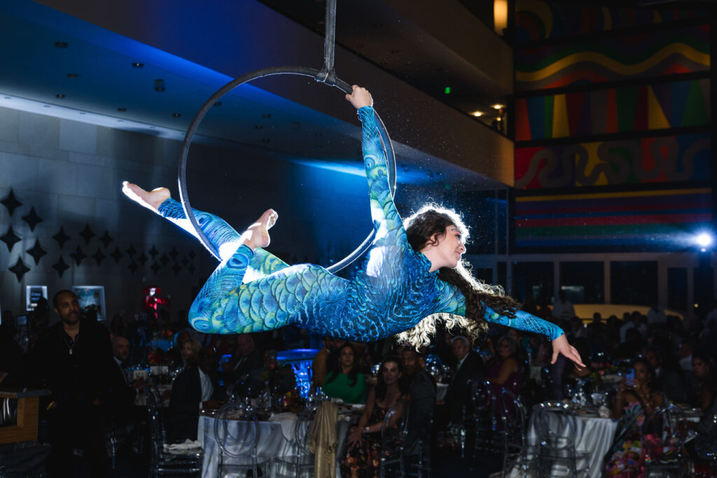 An aerialist dancer stuns at Houston Arts Alliance's ‘The World’s Stage’ Gala at the Hobby Center. (Photo by Johnny Than)