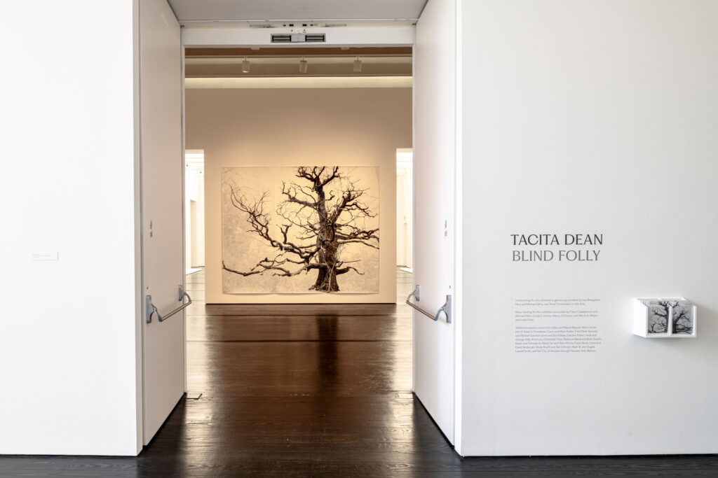 An installation view of "Tacita Dean: Blind Folly" at The Menil Collection in Houston. (Photo by Paul Hester, courtesy The Menil Collection)