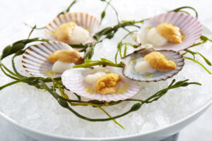 Knife Steak & Seafood Dallas