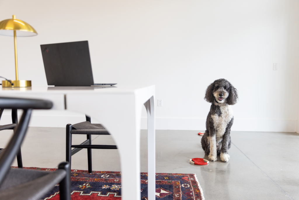 Your office, your rules. You could bring your dog to work, host a cocktail party on-site, play ping-pong, or even store your luxury sports car if you wanted.