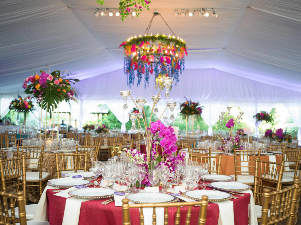  (Photo by Daniel Ortiz for Houston Zoo)