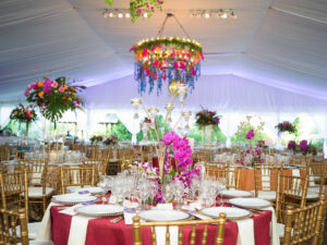 Wings of Wonder presented by Phillips 66 (Photo by Daniel Ortiz for Houston Zoo)