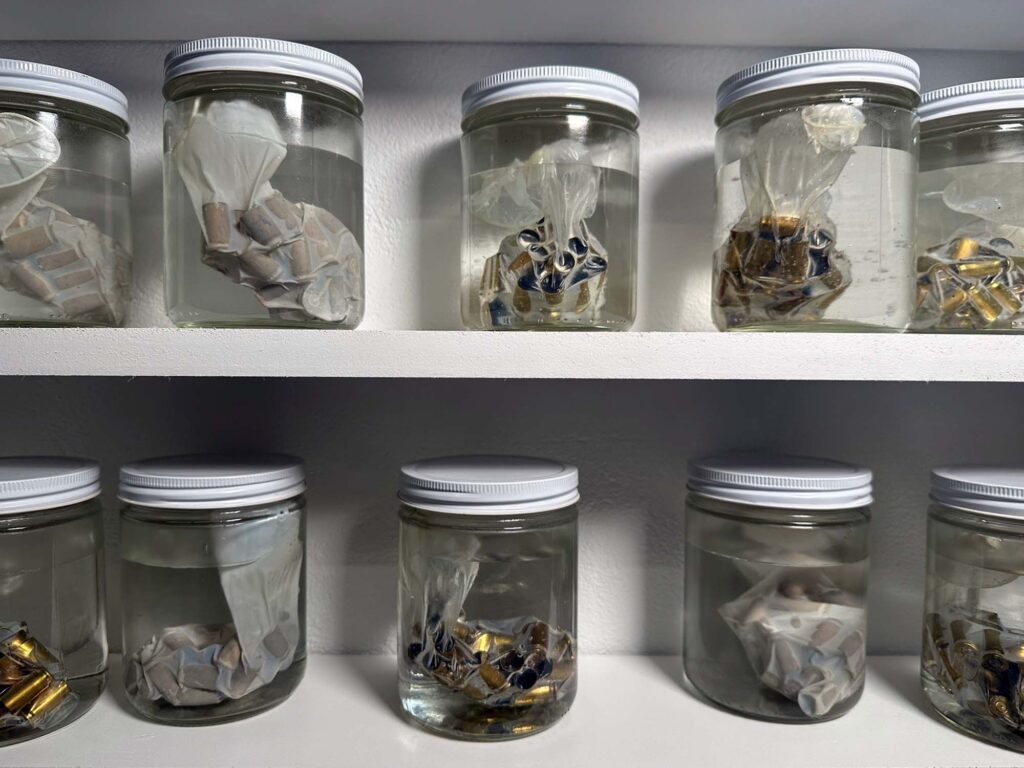 Detail of Bernardo Vallarino-Portela’s “Discharged Loads Specimens,” 2024, in "BAN THIS SHOW." (Courtesy of the artist)