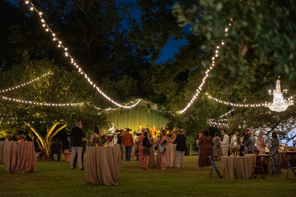 Atmosphere at The Menil Collection 'Party in the Park.' (Photo by Jenny Antill)