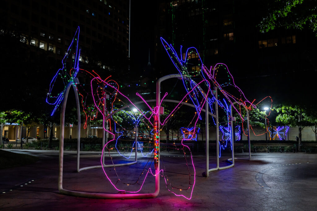 The collection of butterflies, formerly displayed at Neiman Marcus, has taken flight at Harwood Park and Civic Garden this season.
