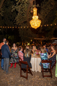 Partygoers at Party in the Park. Photo by Jenny Antill